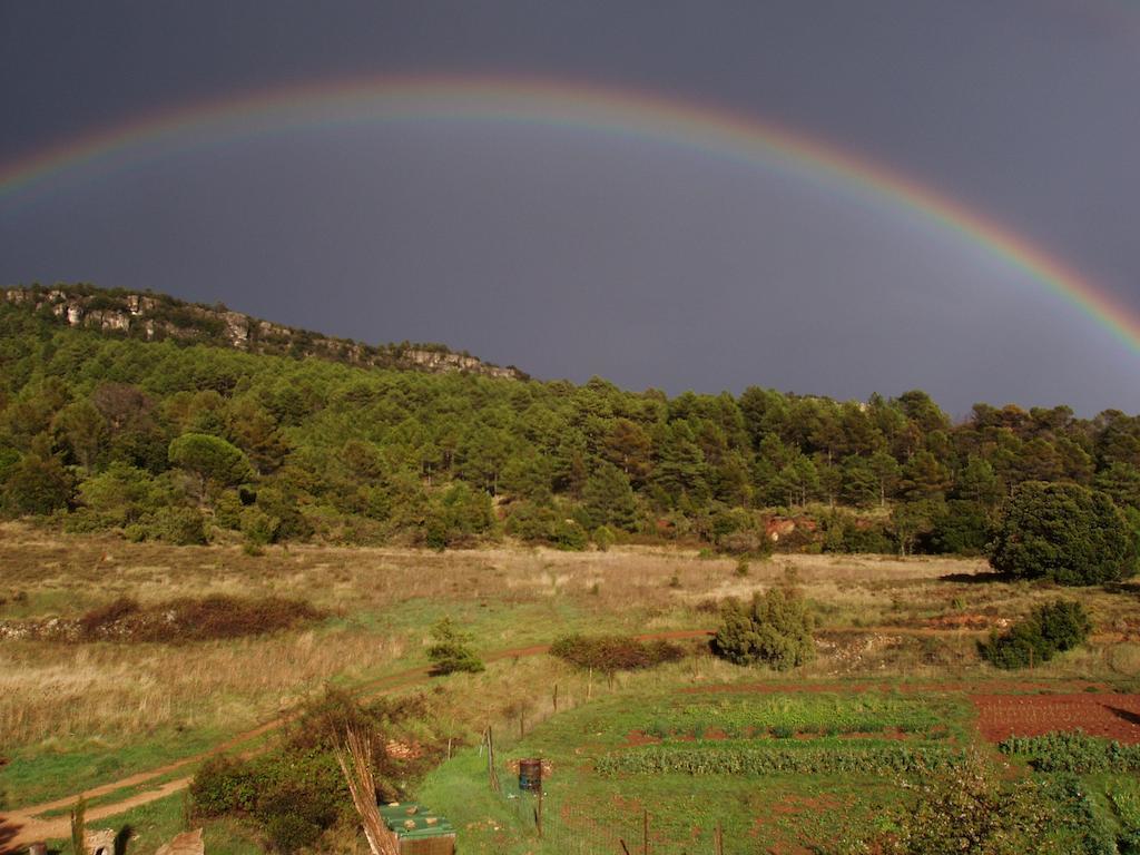 Mas De L'Arlequi Vendégház Rojals Kültér fotó