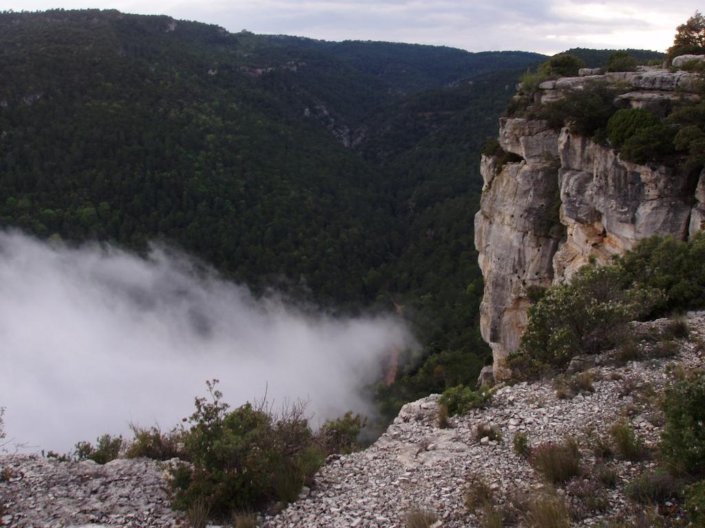 Mas De L'Arlequi Vendégház Rojals Kültér fotó