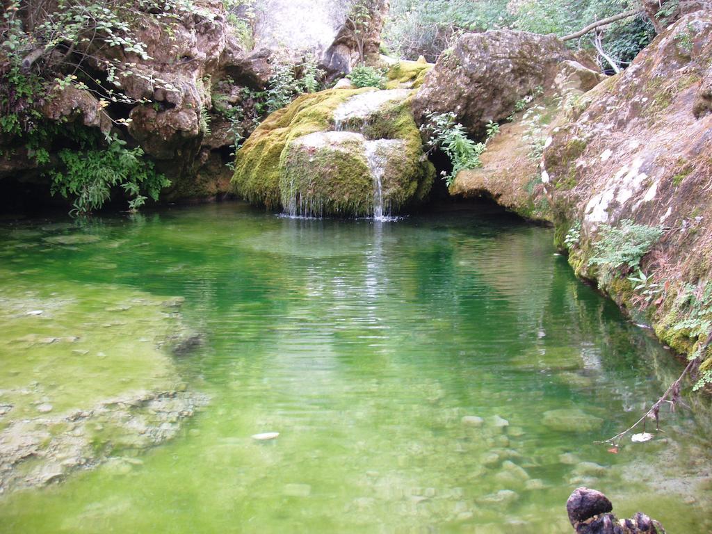 Mas De L'Arlequi Vendégház Rojals Kültér fotó